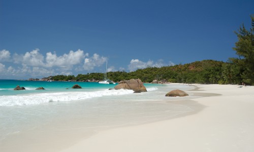 Praslin Dream